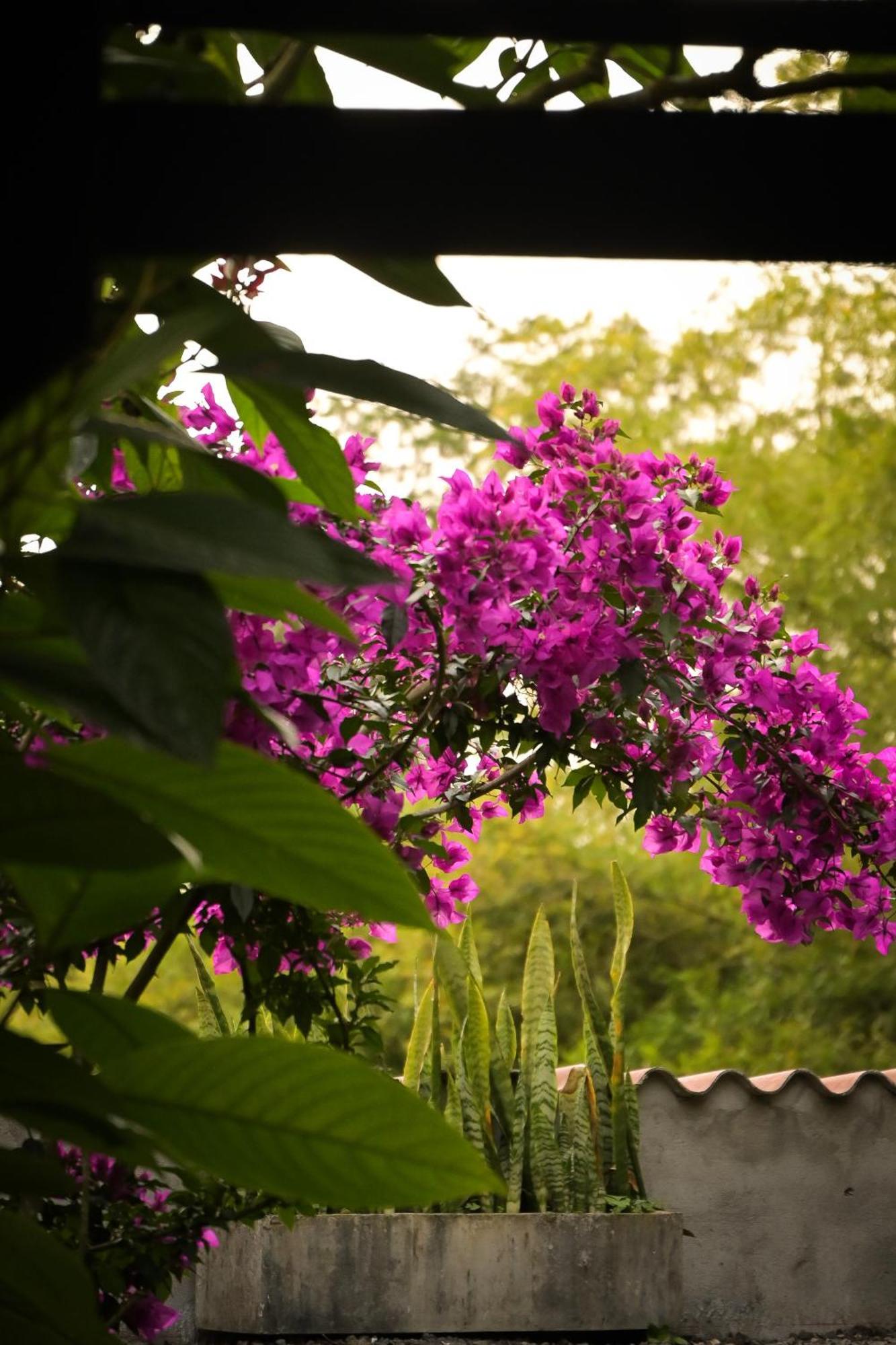 Hotel Visperas Santa Rosa de Cabal Luaran gambar